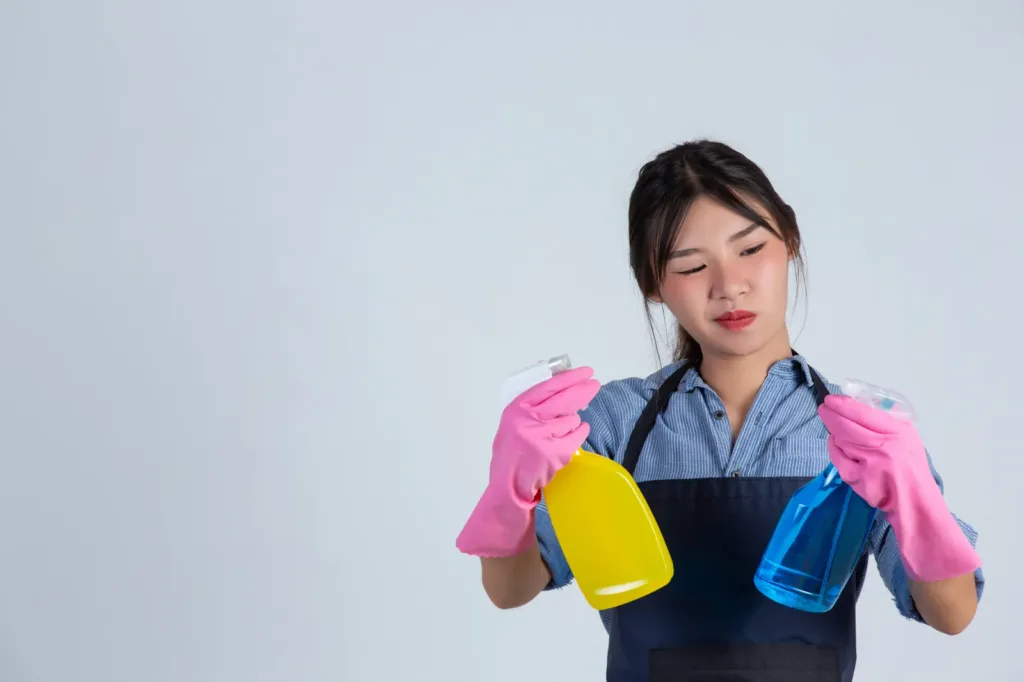 How Much Does It Cost To Hire A Maid In Singapore?